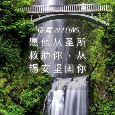 Picture 04 - 诗 篇 20:2 CUVS - 愿 他 从 圣 所 救 助 你 ， 从 锡 安 - Bible Verse Picture