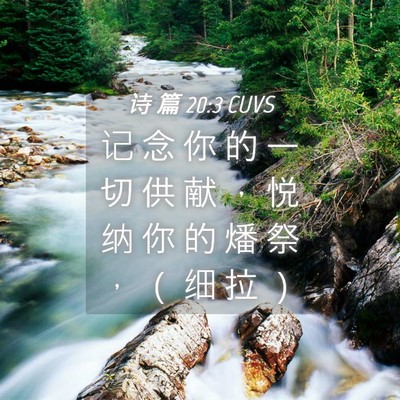 Picture 04 - 诗 篇 20:3 CUVS - 记 念 你 的 一 切 供 献 ， 悦 纳 你 - Bible Verse Picture