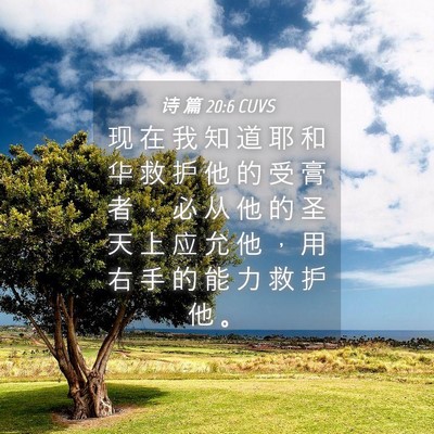 Picture 04 - 诗 篇 20:6 CUVS - 现 在 我 知 道 耶 和 华 救 护 他 的 - Bible Verse Picture