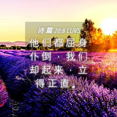 Picture 04 - 诗 篇 20:8 CUVS - 他 们 都 屈 身 仆 倒 ， 我 们 却 起 - Bible Verse Picture