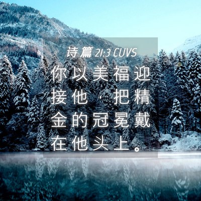 Picture 04 - 诗 篇 21:3 CUVS - 你 以 美 福 迎 接 他 ， 把 精 金 的 - Bible Verse Picture