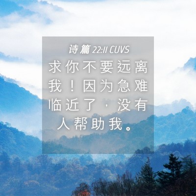 Picture 04 - 诗 篇 22:11 CUVS - 求 你 不 要 远 离 我 ！ 因 为 急 难 - Bible Verse Picture