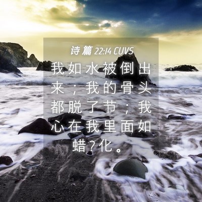 Picture 04 - 诗 篇 22:14 CUVS - 我 如 水 被 倒 出 来 ； 我 的 骨 头 - Bible Verse Picture