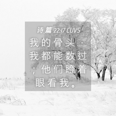 Picture 04 - 诗 篇 22:17 CUVS - 我 的 骨 头 ， 我 都 能 数 过 ； 他 - Bible Verse Picture