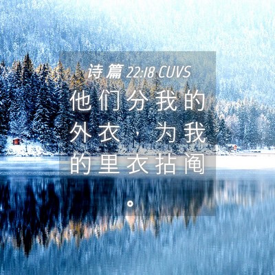 Picture 04 - 诗 篇 22:18 CUVS - 他 们 分 我 的 外 衣 ， 为 我 的 里 - Bible Verse Picture