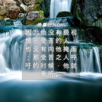 Picture 04 - 诗 篇 22:24 CUVS - 因 为 他 没 有 藐 视 憎 恶 受 苦 的 - Bible Verse Picture
