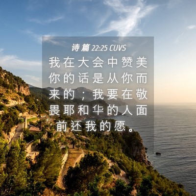 Picture 04 - 诗 篇 22:25 CUVS - 我 在 大 会 中 赞 美 你 的 话 是 从 - Bible Verse Picture