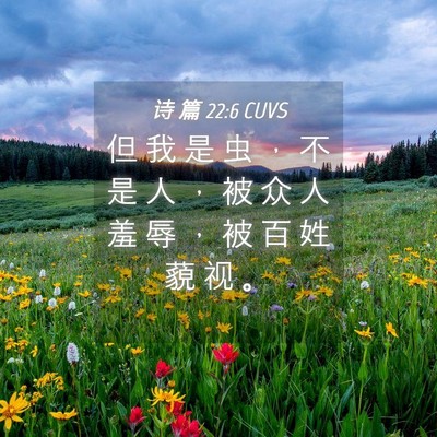 Picture 04 - 诗 篇 22:6 CUVS - 但 我 是 虫 ， 不 是 人 ， 被 众 人 - Bible Verse Picture