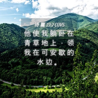 Picture 04 - 诗 篇 23:2 CUVS - 他 使 我 躺 卧 在 青 草 地 上 ， 领 - Bible Verse Picture