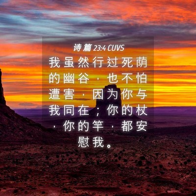 Picture 04 - 诗 篇 23:4 CUVS - 我 虽 然 行 过 死 荫 的 幽 谷 ， 也 - Bible Verse Picture