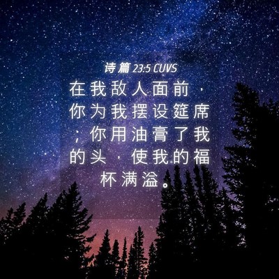 Picture 04 - 诗 篇 23:5 CUVS - 在 我 敌 人 面 前 ， 你 为 我 摆 设 - Bible Verse Picture
