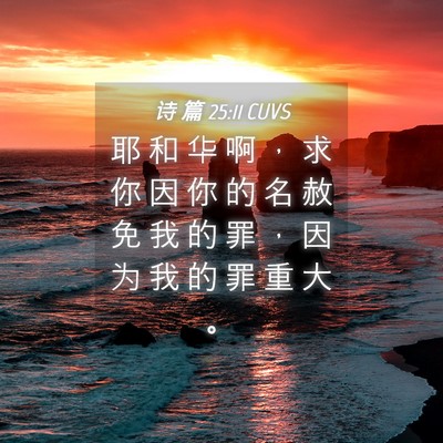 Picture 04 - 诗 篇 25:11 CUVS - 耶 和 华 啊 ， 求 你 因 你 的 名 赦 - Bible Verse Picture