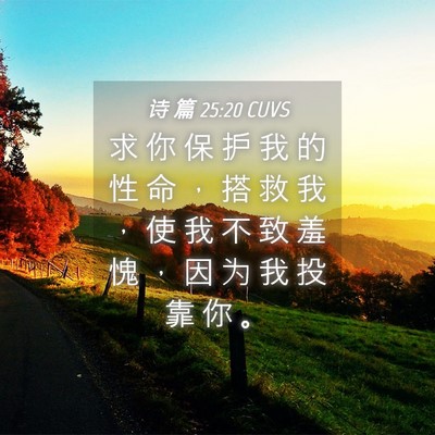 Picture 04 - 诗 篇 25:20 CUVS - 求 你 保 护 我 的 性 命 ， 搭 救 我 - Bible Verse Picture
