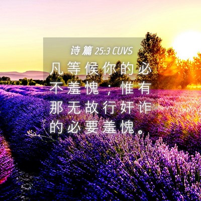 Picture 04 - 诗 篇 25:3 CUVS - 凡 等 候 你 的 必 不 羞 愧 ； 惟 有 - Bible Verse Picture