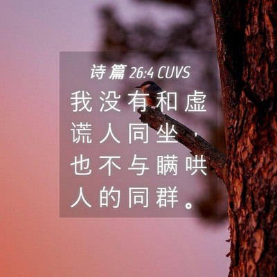 Picture 04 - 诗 篇 26:4 CUVS - 我 没 有 和 虚 谎 人 同 坐 ， 也 不 - Bible Verse Picture