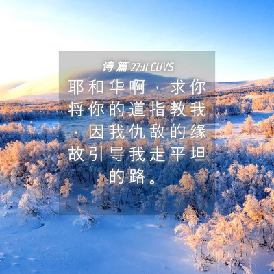 Picture 04 - 诗 篇 27:11 CUVS - 耶 和 华 啊 ， 求 你 将 你 的 道 指 - Bible Verse Picture