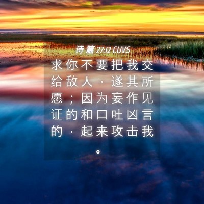 Picture 04 - 诗 篇 27:12 CUVS - 求 你 不 要 把 我 交 给 敌 人 ， 遂 - Bible Verse Picture