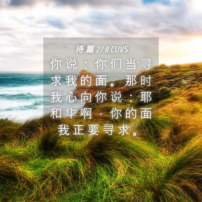 Picture 04 - 诗 篇 27:8 CUVS - 你 说 ： 你 们 当 寻 求 我 的 面 。 - Bible Verse Picture