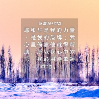 Picture 04 - 诗 篇 28:7 CUVS - 耶 和 华 是 我 的 力 量 ， 是 我 的 - Bible Verse Picture