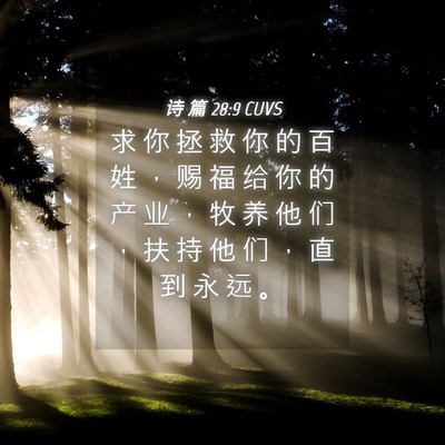Picture 04 - 诗 篇 28:9 CUVS - 求 你 拯 救 你 的 百 姓 ， 赐 福 给 - Bible Verse Picture