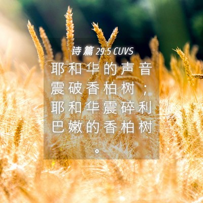 Picture 04 - 诗 篇 29:5 CUVS - 耶 和 华 的 声 音 震 破 香 柏 树 ； - Bible Verse Picture