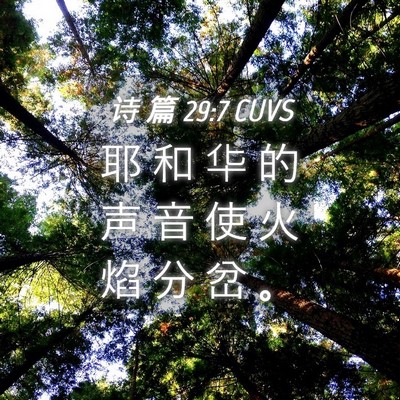Picture 04 - 诗 篇 29:7 CUVS - 耶 和 华 的 声 音 使 火 焰 分 岔 - Bible Verse Picture