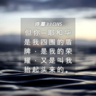 Picture 04 - 诗 篇 3:3 CUVS - 但 你 ─ 耶 和 华 是 我 四 围 的 盾 - Bible Verse Picture