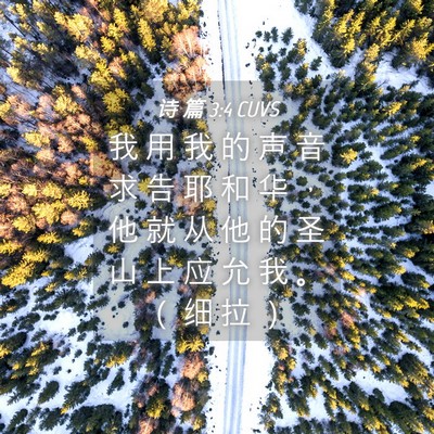 Picture 04 - 诗 篇 3:4 CUVS - 我 用 我 的 声 音 求 告 耶 和 华 ， - Bible Verse Picture