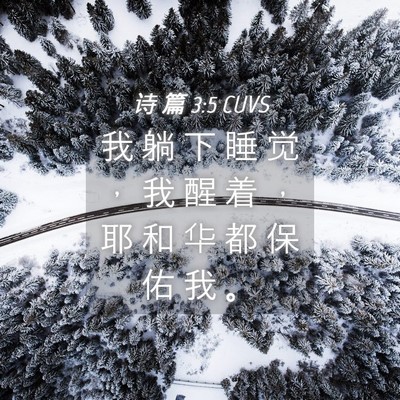 Picture 04 - 诗 篇 3:5 CUVS - 我 躺 下 睡 觉 ， 我 醒 着 ， 耶 和 - Bible Verse Picture