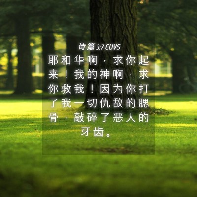 Picture 04 - 诗 篇 3:7 CUVS - 耶 和 华 啊 ， 求 你 起 来 ！ 我 的 - Bible Verse Picture