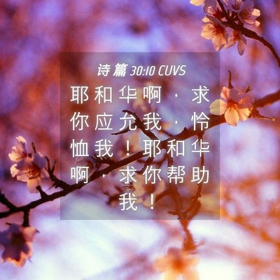 Picture 04 - 诗 篇 30:10 CUVS - 耶 和 华 啊 ， 求 你 应 允 我 ， 怜 - Bible Verse Picture