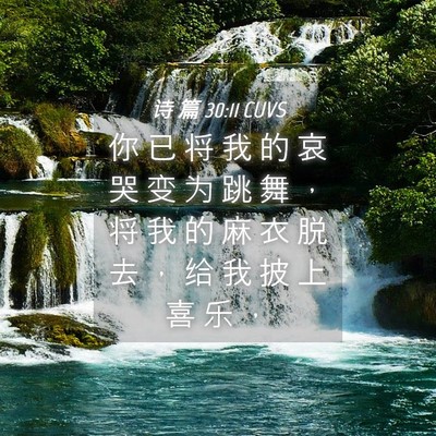 Picture 04 - 诗 篇 30:11 CUVS - 你 已 将 我 的 哀 哭 变 为 跳 舞 ， - Bible Verse Picture