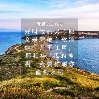 Picture 04 - 诗 篇 30:12 CUVS - 好 叫 我 的 灵 （ 原 文 是 荣 耀 ） - Bible Verse Picture