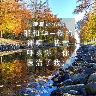 Picture 04 - 诗 篇 30:2 CUVS - 耶 和 华 ─ 我 的 神 啊 ， 我 曾 呼 - Bible Verse Picture