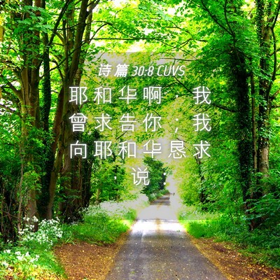 Picture 04 - 诗 篇 30:8 CUVS - 耶 和 华 啊 ， 我 曾 求 告 你 ； 我 - Bible Verse Picture
