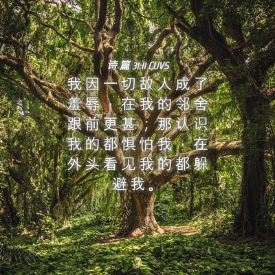 Picture 04 - 诗 篇 31:11 CUVS - 我 因 一 切 敌 人 成 了 羞 辱 ， 在 - Bible Verse Picture