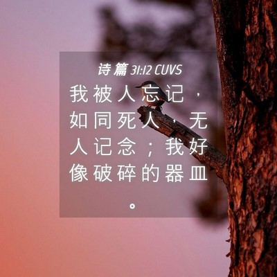 Picture 04 - 诗 篇 31:12 CUVS - 我 被 人 忘 记 ， 如 同 死 人 ， 无 - Bible Verse Picture