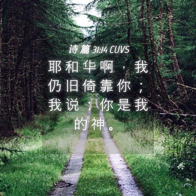 Picture 04 - 诗 篇 31:14 CUVS - 耶 和 华 啊 ， 我 仍 旧 倚 靠 你 ； - Bible Verse Picture