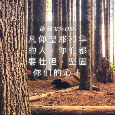 Picture 04 - 诗 篇 31:24 CUVS - 凡 仰 望 耶 和 华 的 人 ， 你 们 都 - Bible Verse Picture