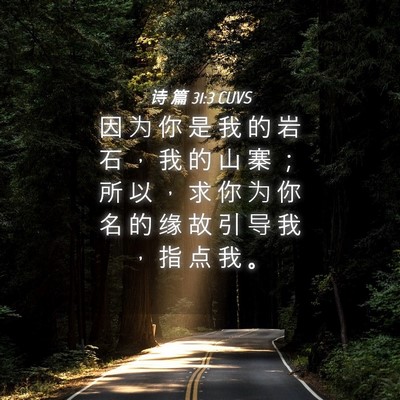 Picture 04 - 诗 篇 31:3 CUVS - 因 为 你 是 我 的 岩 石 ， 我 的 山 - Bible Verse Picture