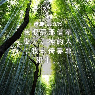 Picture 04 - 诗 篇 31:6 CUVS - 我 恨 恶 那 信 奉 虚 无 之 神 的 人 - Bible Verse Picture