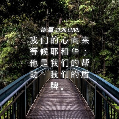 Picture 04 - 诗 篇 33:20 CUVS - 我 们 的 心 向 来 等 候 耶 和 华 ； - Bible Verse Picture