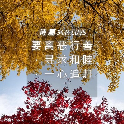 Picture 04 - 诗 篇 34:14 CUVS - 要 离 恶 行 善 ， 寻 求 和 睦 ， 一 - Bible Verse Picture