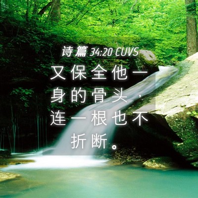 Picture 04 - 诗 篇 34:20 CUVS - 又 保 全 他 一 身 的 骨 头 ， 连 一 - Bible Verse Picture