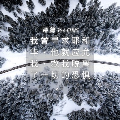 Picture 04 - 诗 篇 34:4 CUVS - 我 曾 寻 求 耶 和 华 ， 他 就 应 允 - Bible Verse Picture