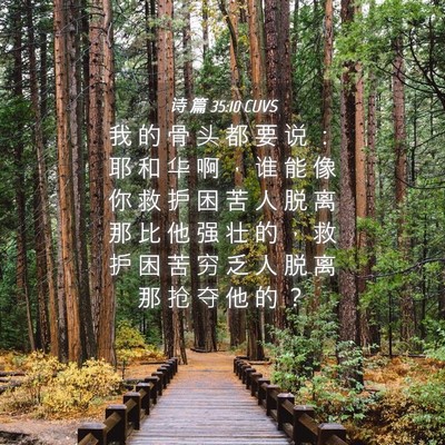 Picture 04 - 诗 篇 35:10 CUVS - 我 的 骨 头 都 要 说 ： 耶 和 华 啊 - Bible Verse Picture