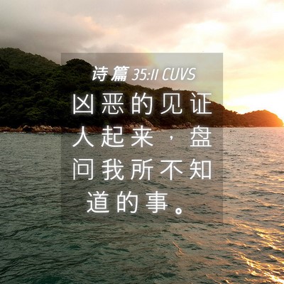 Picture 04 - 诗 篇 35:11 CUVS - 凶 恶 的 见 证 人 起 来 ， 盘 问 我 - Bible Verse Picture