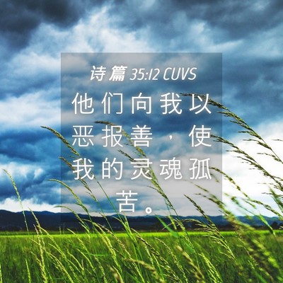 Picture 04 - 诗 篇 35:12 CUVS - 他 们 向 我 以 恶 报 善 ， 使 我 的 - Bible Verse Picture