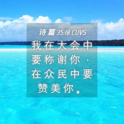 Picture 04 - 诗 篇 35:18 CUVS - 我 在 大 会 中 要 称 谢 你 ， 在 众 - Bible Verse Picture