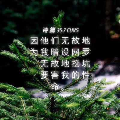 Picture 04 - 诗 篇 35:7 CUVS - 因 他 们 无 故 地 为 我 暗 设 网 罗 - Bible Verse Picture